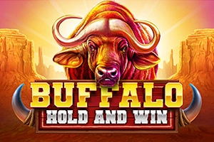 Buffalo Hold And Win at Betbluff